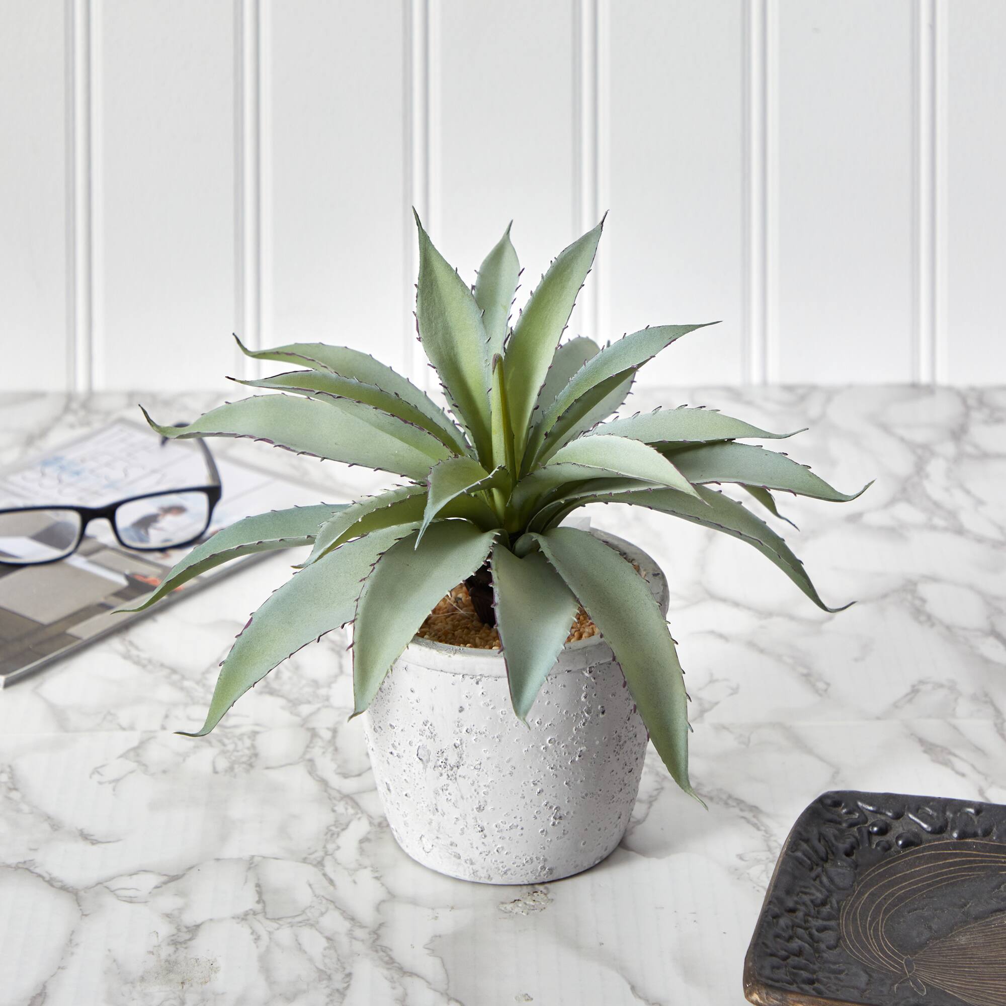9" Potted Aloe Succulent Plant